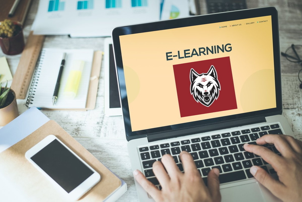 eLearning Information and Website Link