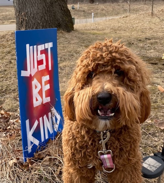 Just be kind with Sunny