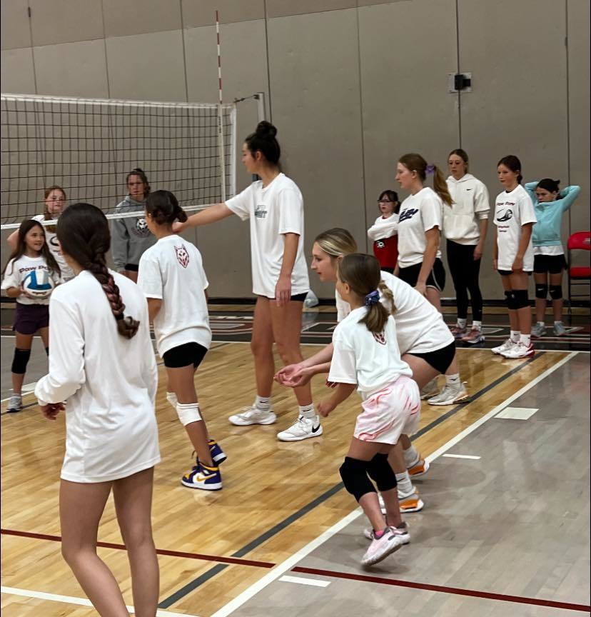volleyball team in action